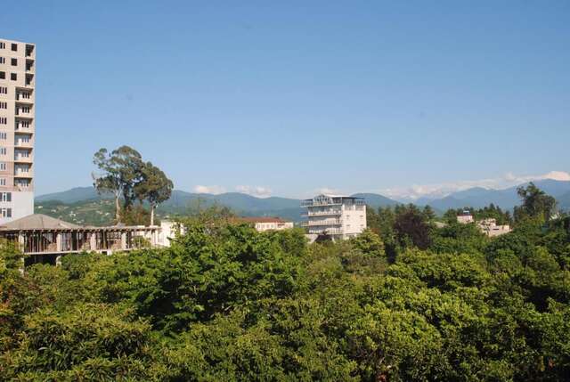 Гостевой дом семейный отель Батуми-19